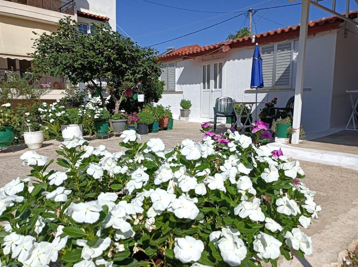Mitikas Cosy Studio Villa Mytikas  Exterior photo